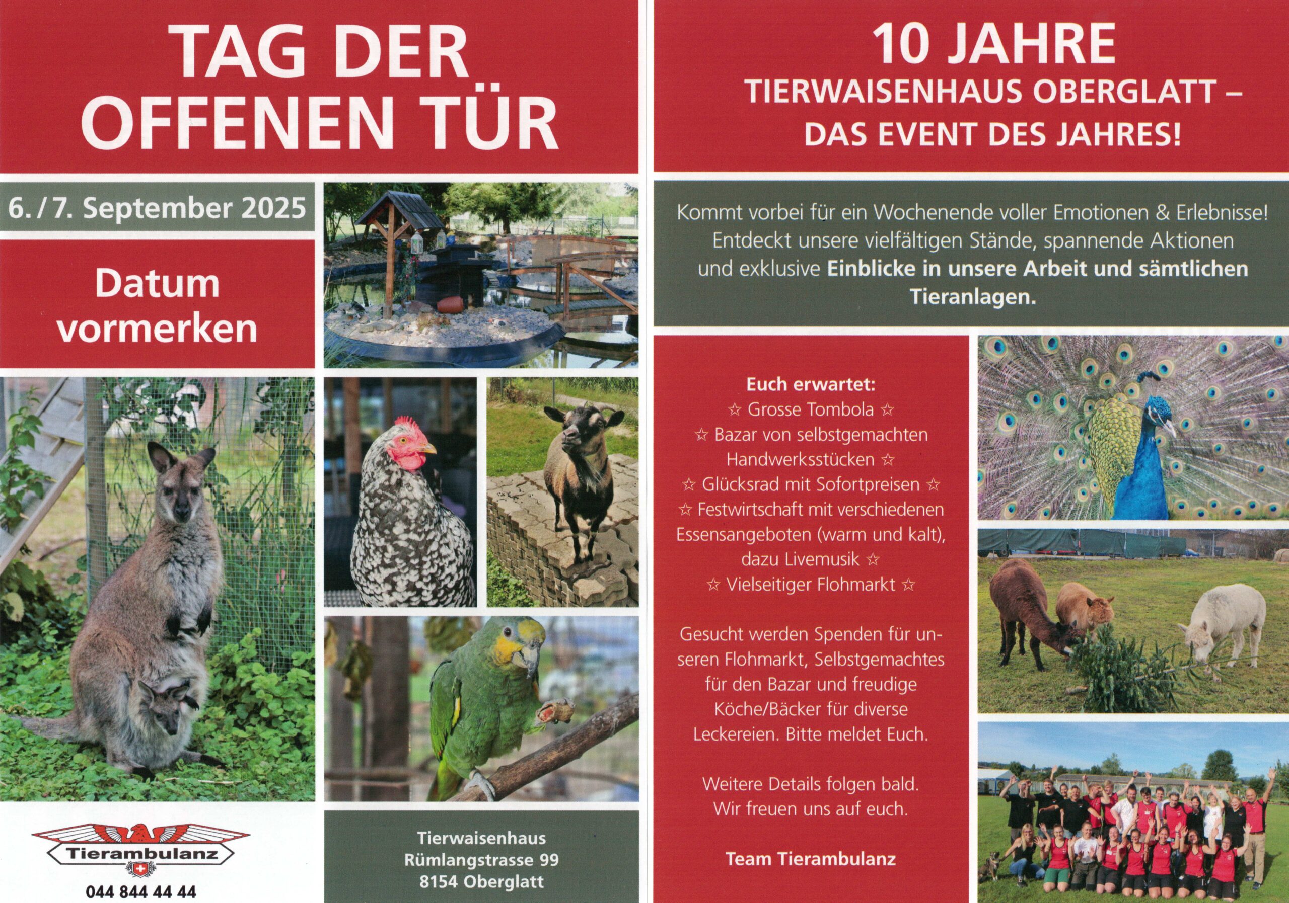 10 Jahre Tierwaisenhaus Oberglatt, Tag der offenen Tür 2 1. Vorflyer scaled
