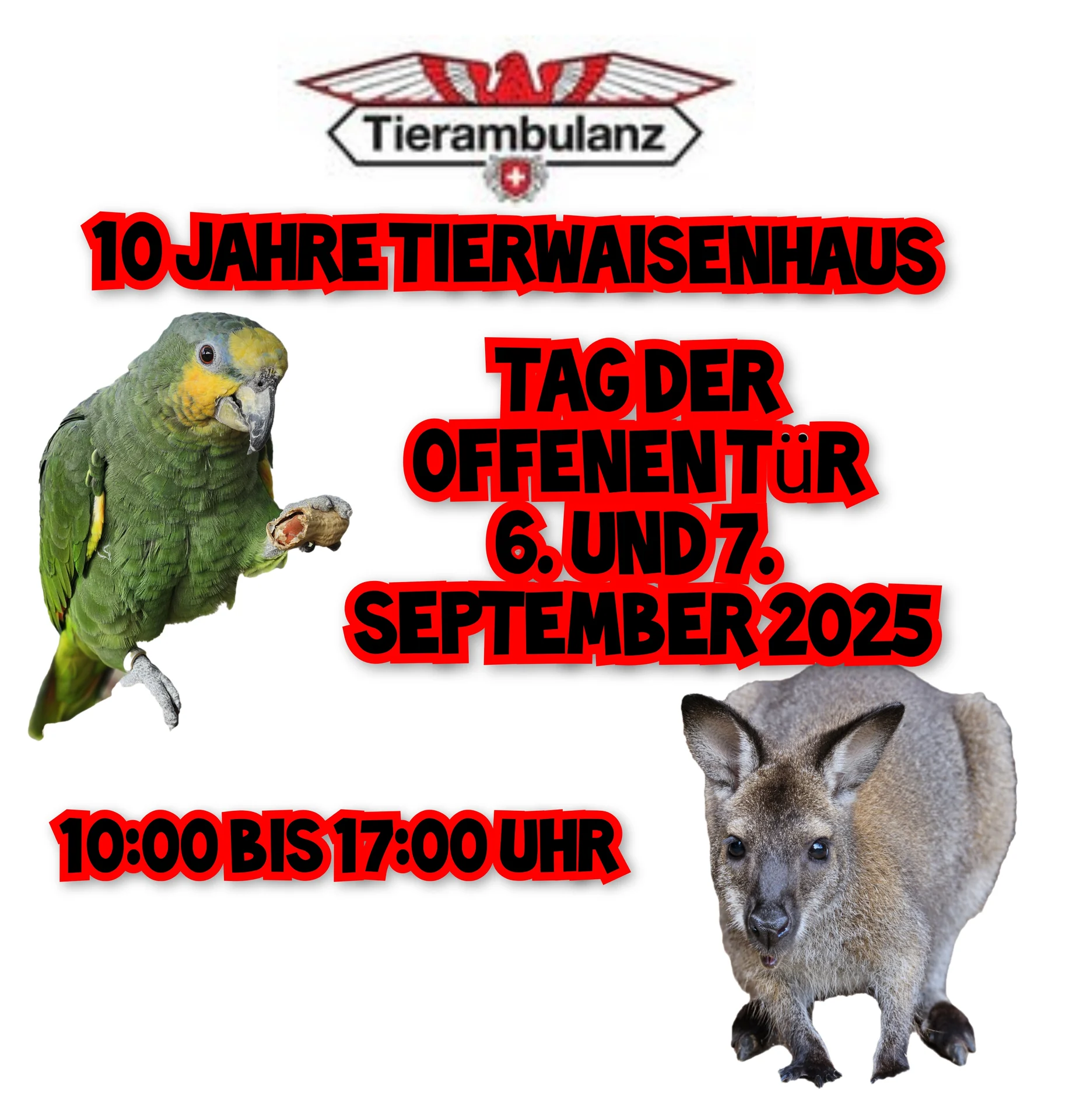 10 Jahre Tierwaisenhaus Oberglatt, Tag der offenen Tür